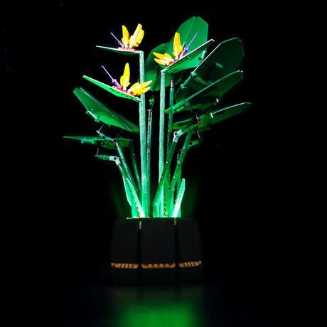 LED Licht Set für LEGO Creator Expert Paradiesvogelblume (10289) inkl. Fernbedienung