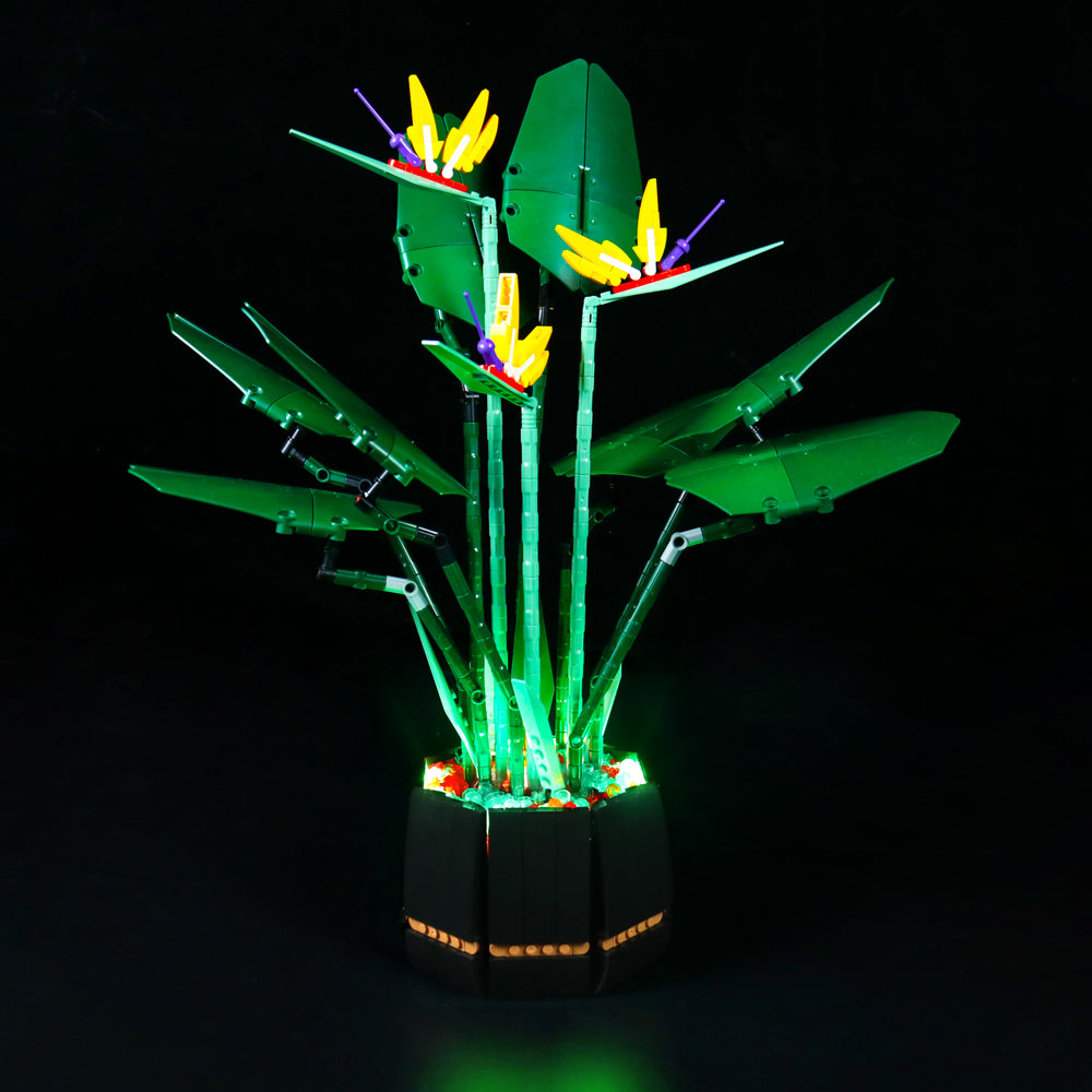 LED Licht Set für LEGO Creator Expert Paradiesvogelblume (10289) inkl. Fernbedienung