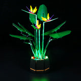 LED Licht Set für LEGO Creator Expert Paradiesvogelblume (10289) inkl. Fernbedienung