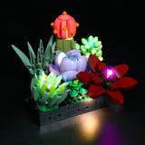 LED Licht Set für LEGO Creator Expert Sukkulenten (10309)