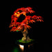 BrickBling - LED Licht Set für LEGO Japanischer Roter Ahorn - Bonsai-Baum (10348)