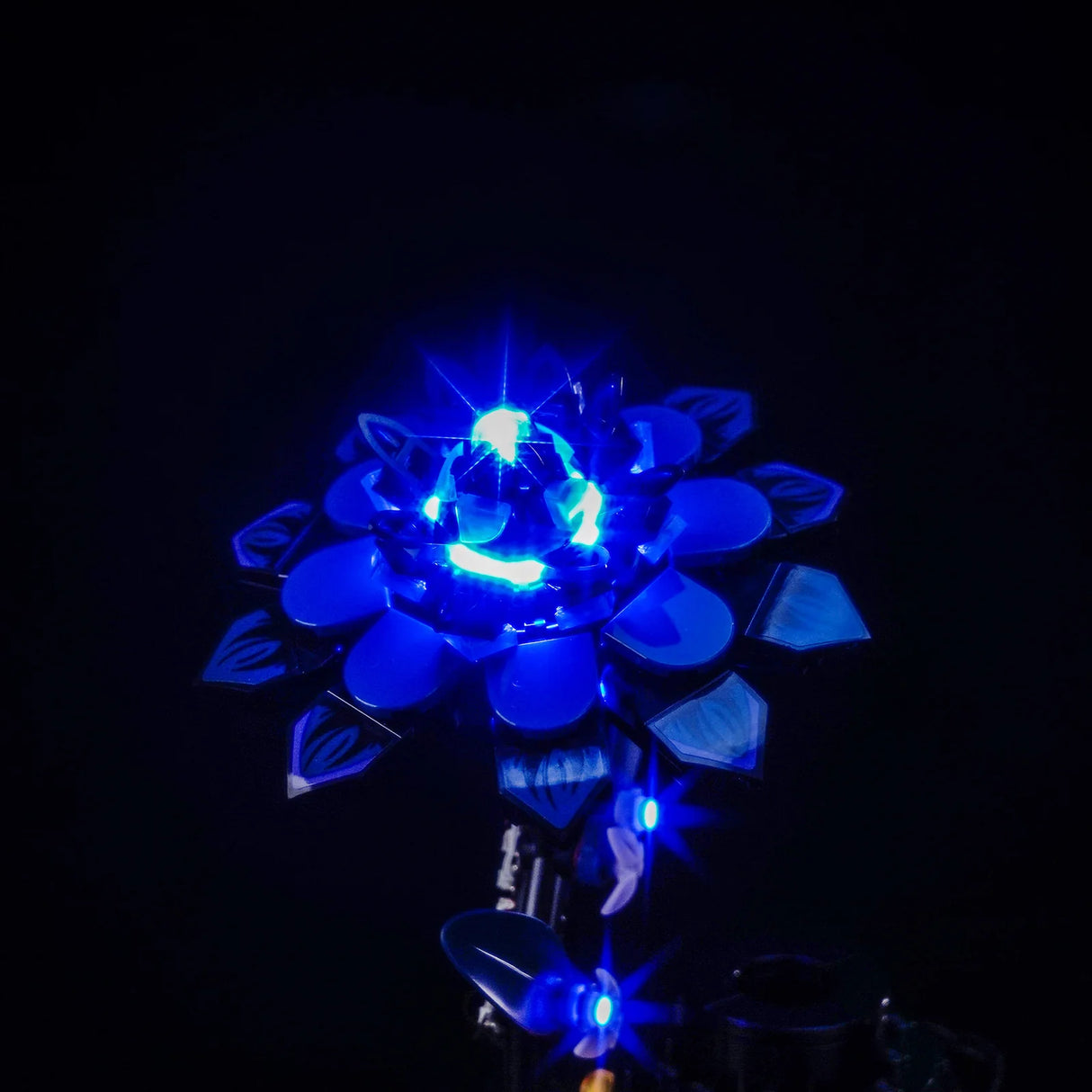 LED Licht Set für LEGO Wednesday: Schwarze Dahlie (76784)
