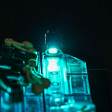 LED Licht Set für LEGO Schwimmende Otter (21366) inkl. Fernbedienung