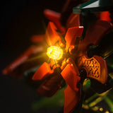 LED Licht Set für LEGO Weihnachtsstern (10370)