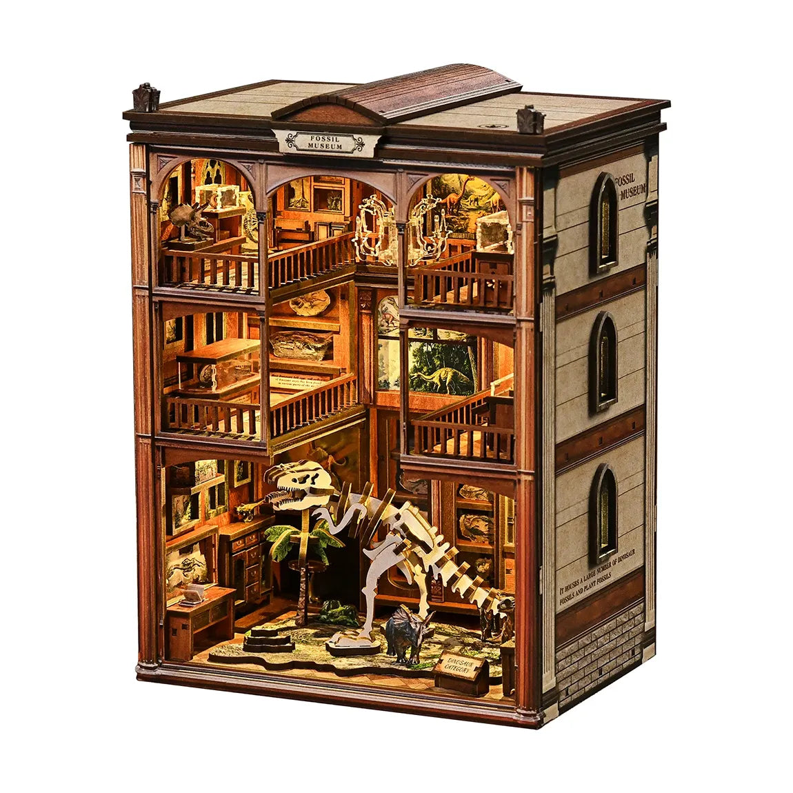 Le musée des fossiles - Book Nook