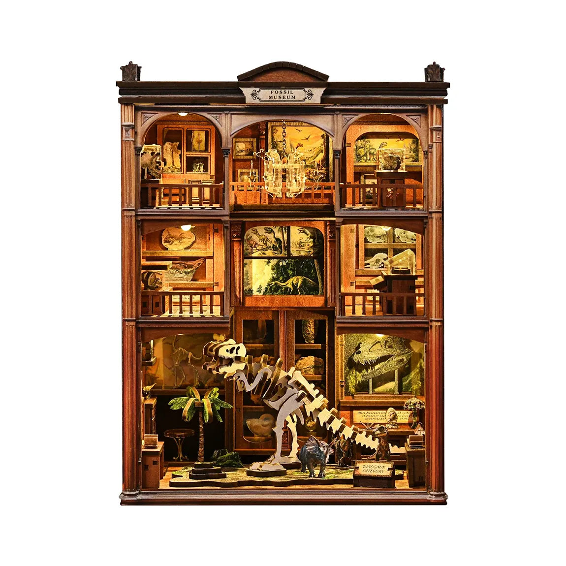 Le musée des fossiles - Book Nook
