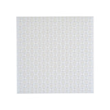 Transparent 20x20 (4 Stück) - Bauplatte