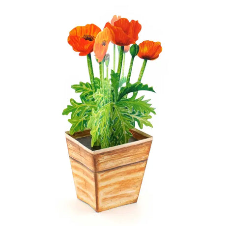 Mohnblume - 3D Grusskarte - derdealer.ch