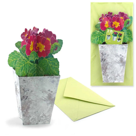 Primeln - 3D Grusskarte - derdealer.ch