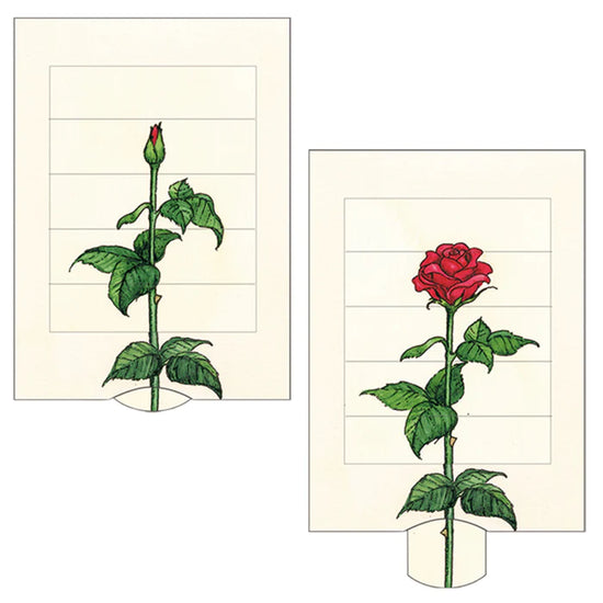 Rose - Geschenkkarte - derdealer.ch 