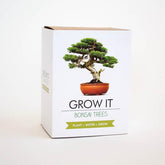 Grow it Bonsai DIY Baum - Wohndekoration - derdealer.ch