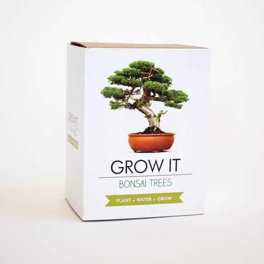 Grow it Bonsai DIY Baum - Wohndekoration - derdealer.ch 