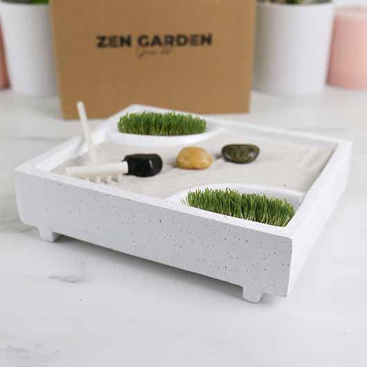 Zen Garden Kit - Wohndekoration - derdealer.ch