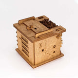 Cluebox Knobelbox Schrödingers Katze